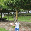 광양읍 서천체육공원 | 광양 아이랑 가볼만한곳 서천변 서천체육공원에서 피크닉