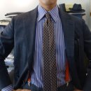 알파라인 이미지