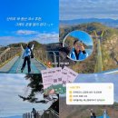 [덕계]양주숲트레킹 | [공지] 원주 출렁다리 명소 '소금산 그랜드밸리' 케이블카, 트레킹 코스 총정리