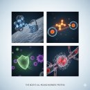 세화약품(주) 이미지