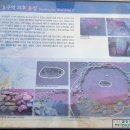 화순리마을 이미지