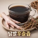 신아건강원
