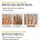 화개장터가구가구할인매장가구살대골라잡아 | 시즌마지막행사!) 기능성 매트리스 더보스퀘 구입시 침대프레임을 드립니다~원목프레임4종택1