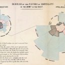 여왕과 나이팅게일 이미지