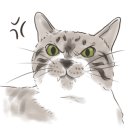 멜버른 승마 이미지