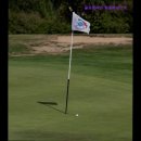 원일베네스트 이미지