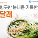 달래 , 영양성분 살펴볼까 이미지