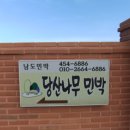 당산나무민박 이미지