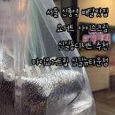 마이요거트립 신길뉴타운점 네이버블로그