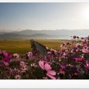 황금뜰농장 이미지