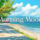 morning soft 이미지