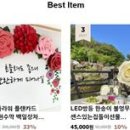 주식회사 크멋자이언트플라워