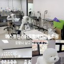 사람과 애견미용 | 포항 애견미용학원 웨스트민스터 국비지원 상담후기