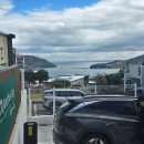 거제펜션 어나더데이 | 거제 감성숙소 추천 '어나더데이 펜션'에서 힐링하고 온 후기