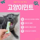 달쿤 | 100%국산 수제캣닢 기호성 좋은 고양이민트 (by. 초록지붕스토어)