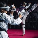 e-태권도 이미지