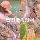 이마트24 서대문연희점 | [서울] 서대문 연희숲속쉼터에서 벚꽃과 튤립을 한눈에 담아보기｜홍제천인공폭포, 연희숲속쉼터 지도