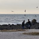 구름타고온선녀 이미지