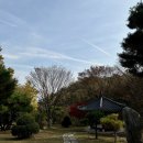 담양민박 | [담양] 애견 독채 펜션 오크빌 민박 방문 후기 내 돈 내산