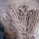 자연산 우슬,영지버섯 이미지