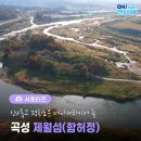 만추관목 | [전남 서포터즈] 은빛 억새와 황금빛 메타세쿼이아가 춤추는, 곡성 제월 섬