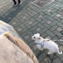 진로세탁소 이미지