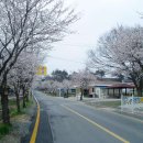 금암1리마을회관 이미지