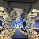 이호텔 | w3. 울산 타니베이호텔 웨딩홀 홀투어 비교 가격 장단점 후기