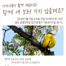 함께 새 보러 가지 않을래요? - 은평민들레당 봉산 탐조 이미지