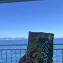 녹동온스테이 | W-3-1) 애견동반 배타고 육지가기 녹동항 아리온제주 이용후기 자리꿀팁