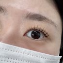 와썹뷰티눈썹앤속눈썹펌 | 동대문 속눈썹펌, 와썹뷰티 눈썹앤속눈썹펌 본점 후기