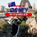 사우스힐 | 시드니 천문대 옵저버토리 힐 일몰시간 스냅사진 촬영지 준비물 추천