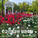 장미상사 | 오산 장미축제 고인돌공원 고인물의 재방문 솔직 후기