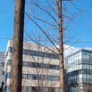 더케이호텔서울 이미지