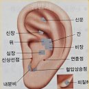 귀로 보는 건강클리닉 이혈 | [부강주민 건강증진 프로그램:이혈테라피10회차]고혈압,저혈압,교육마무리