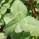 삼태기농장 이미지