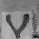 도하동물병원 이미지