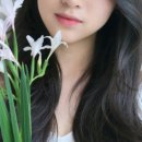 KT&G세종타워C 이미지