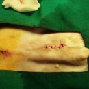 래플즈 동물병원 이미지