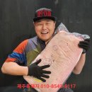 엑스포로(유성-83) 이미지