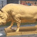 황금돼지 이미지