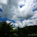 토마스펜션 이미지