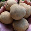 참된축산 이미지