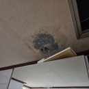 광명샤인빌 | 광주남구누수 광명샤인빌 아파트 화장실 천장 피해복구 물떨어짐