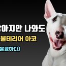 아코