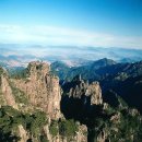 태백안동축산