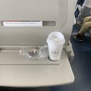 티엔에프(TNF) | 2024 tnf100 50K (feat. 첫 울트라 트레일)