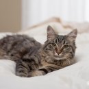 울산광역시청 1별관 이미지