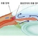 이광수동물병원 이미지