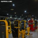 머슬맥휘트니스클럽 이미지